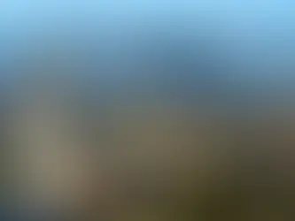 背景提升|加利福尼亚大学伯克利分校应用人工智能工程暑期学院项目报名通知