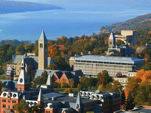 康奈尔大学设计技术理学硕士M.S. Design Technology (MSDT)