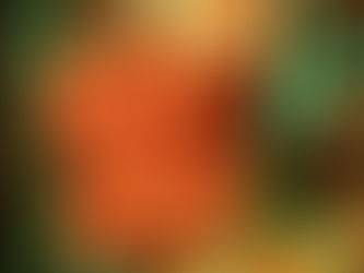 What the "healthiest" parrot food and the "World's Best Coffee" have in common