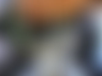 What makes a "good" parrot trainer?