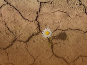 Não Romantize a minha Resiliência.