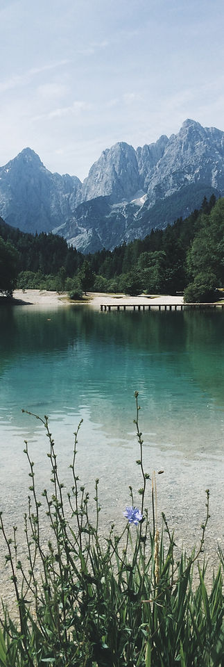 Lake Landscape