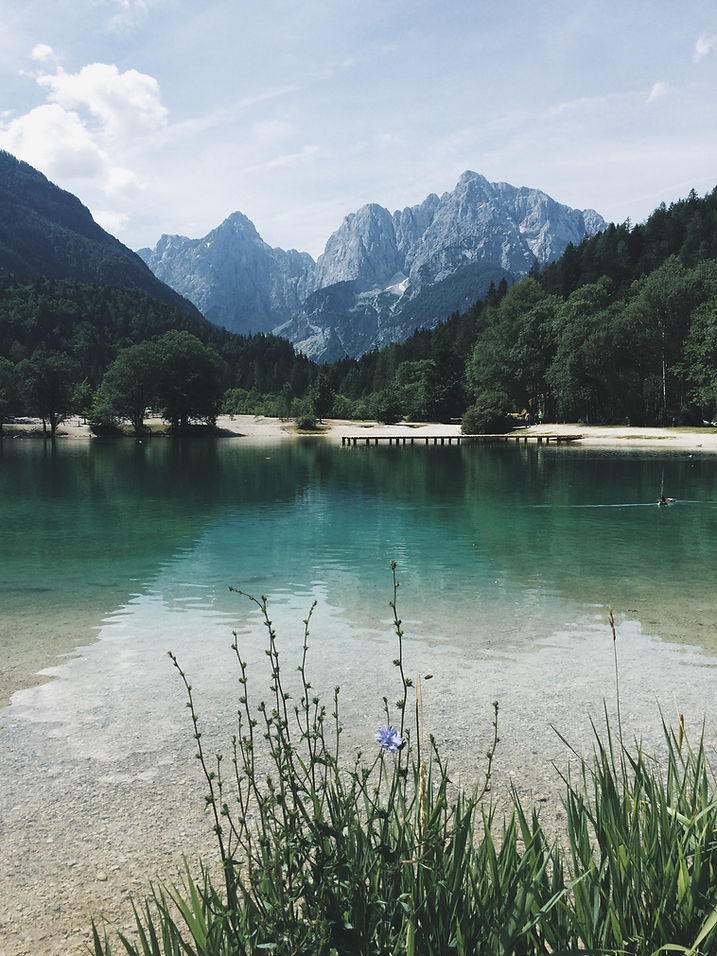 Still water and greenery representing emotional clarity and peaceful support