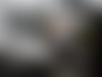 Casal falando com vendedora de carros em loja de carros