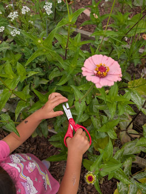 wild-joy-homeschool-class-portfolio-photo