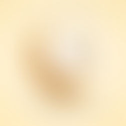 Qurban Bayramınız Mübarək!