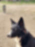 IMG_0216.JPEG