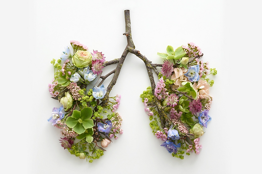 line-icons-flowers.png