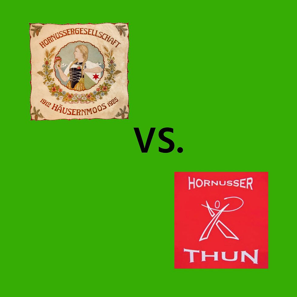 HG Häusernmoos vs. HG Thun