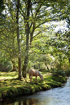 The 21 Best Day Trips From London.jpg