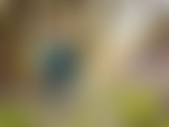 Why I became a photographer | Oh SO Peachy Photography, Plymouth, Devon.