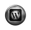 silver-button-social-media-wordpress-log