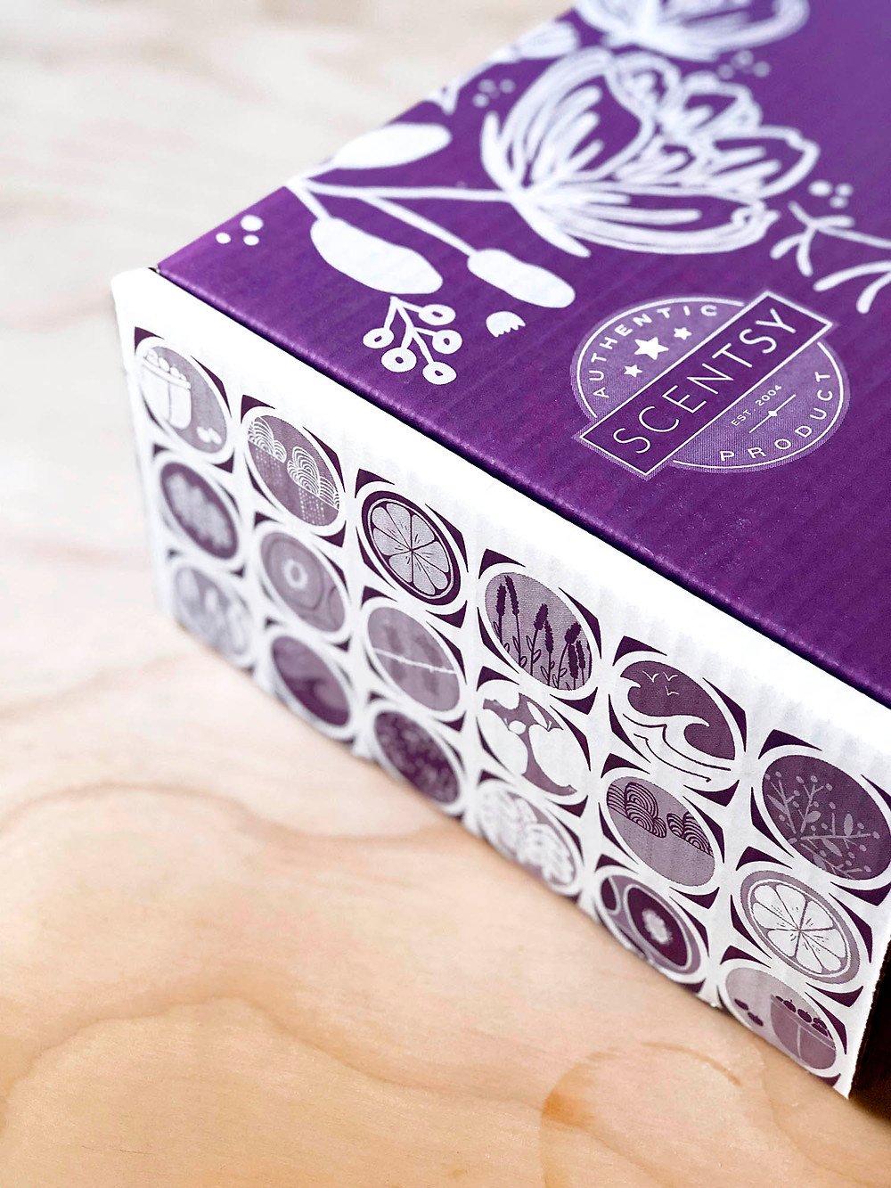 Scentsy Starter Kit