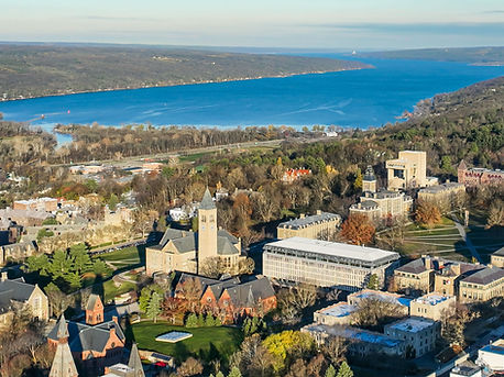 Cornell XXL.jpg