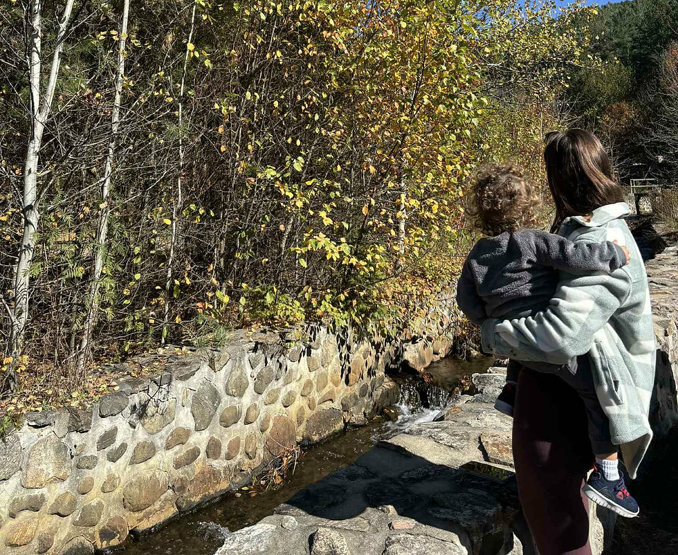 Close-up view of a colorful bowl of fresh fruits and vegetables