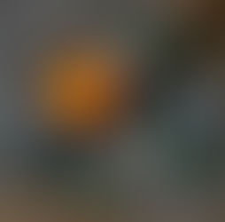 The Killing Joke - Christa Faust & Gary Phillips - Review