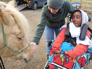 Bodsters Equine Assisted Horse Therapy Isle of Wight