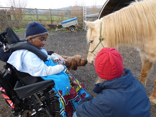 Bodsters Equine Assisted Horse Therapy Isle of Wight
