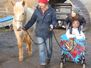 Bodsters Equine Assisted Horse Therapy Isle of Wight
