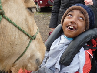 Bodsters Equine Assisted Horse Therapy Isle of Wight