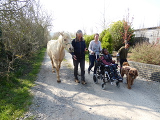 Bodsters Equine Assisted Horse Therapy Isle of Wight