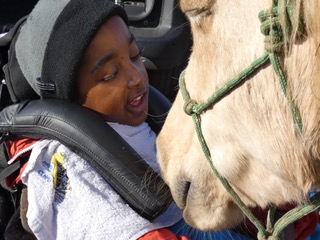 Horse Therapy at Bodsters brings smiles and laughter 