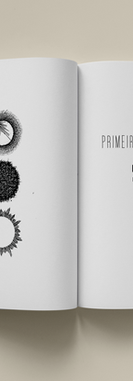 Mockup folha de rosto do livro PRIMEIRA APARIÇÃO DA MANHÃ
