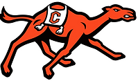 Campbell_Fighting_Camels_logo.svg.png