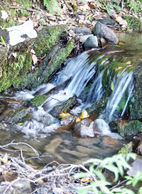 IMG_9180 2.jpeg
