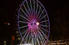 IMG_0036.jpeg