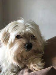 IMG_0198.jpeg