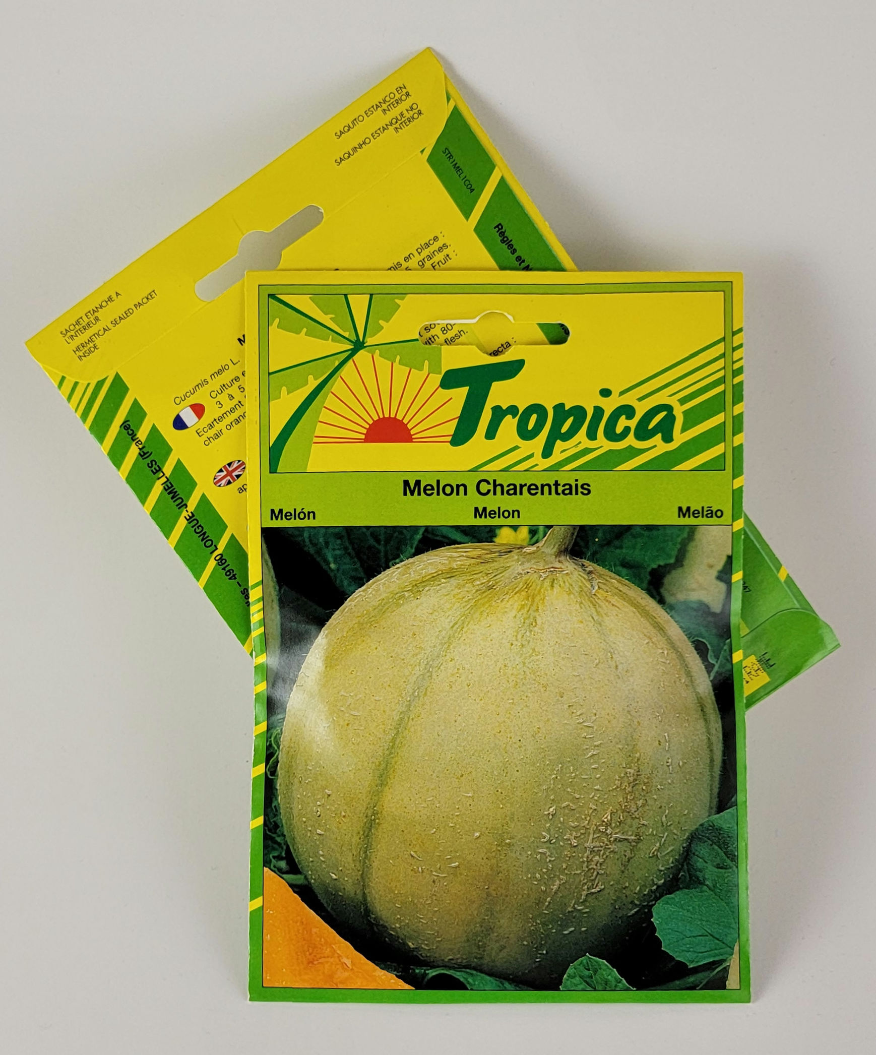 Melon Cantaloupe Charentais