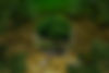 environmental-protectionsustainable_edited.jpg