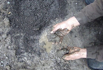 Soil-Testing-Workability.jpeg