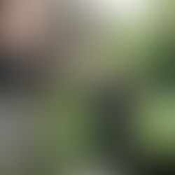 Atlanta residents turn toward home security firms, firearms to protest property