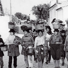 Portugal ao pormenor