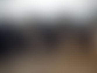 “Vozes de Burro não chegam ao céu”, mas falam Mirandês