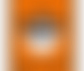 [Crítica] A Religião Woke: a análise do movimento que dominou o mundo