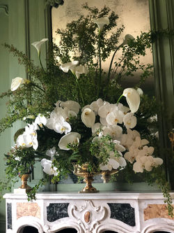 5BD685EE-8C1A-43C2-908C-79ACE4371FA1_1_2