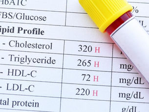 Your Cholesterol Panel, Finally Explained