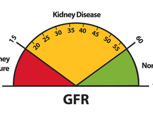 Your Kidneys Are Talking. Are You Listening?
