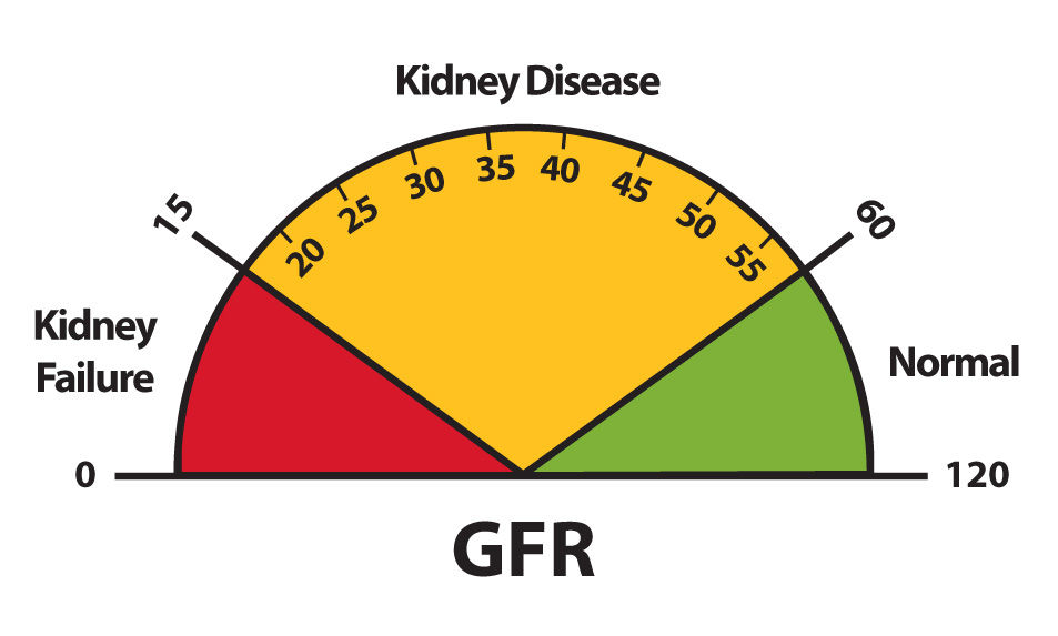 Your Kidneys Are Talking. Are You Listening?