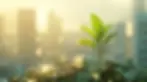 Young plant sprouting from stack of coins against city backdrop, illustrating how to get into property and real estate investment for investing in property and building property investment wealth.