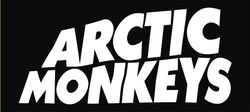 artic monkeys