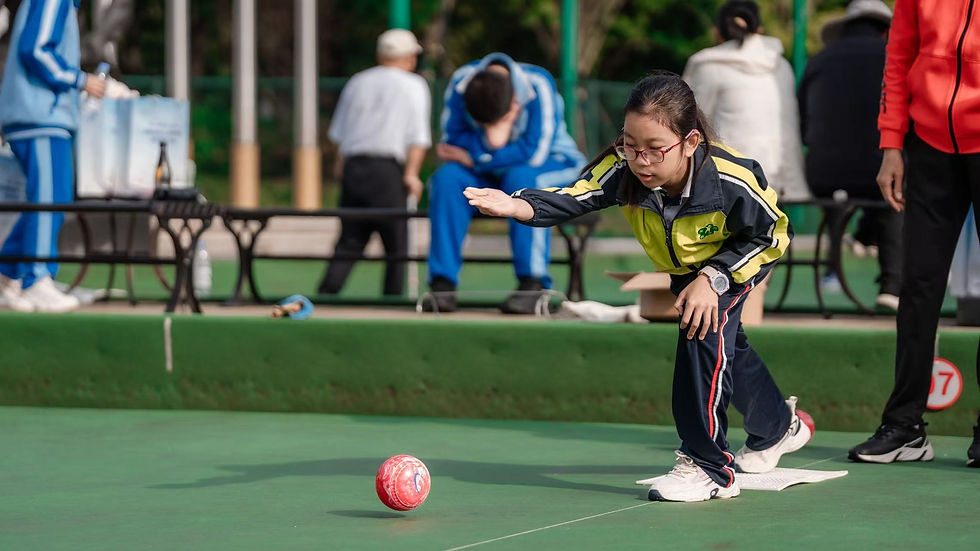 Bowls Surface(Carpet)