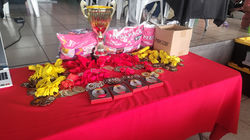 IMG-20251215-WA0221