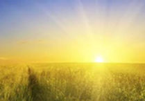 lightHow Great Are Your Works HaShem! Your thoughts are very deep - Psalms 92:6