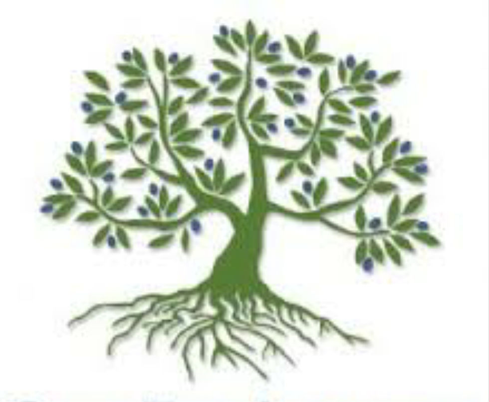 tree extending roots into soil and water to grow and bear fruit yielding seed