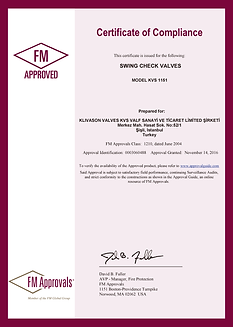 Pages from MODEL KVS 1151.png