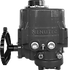 NAY Series (Grayscale).png